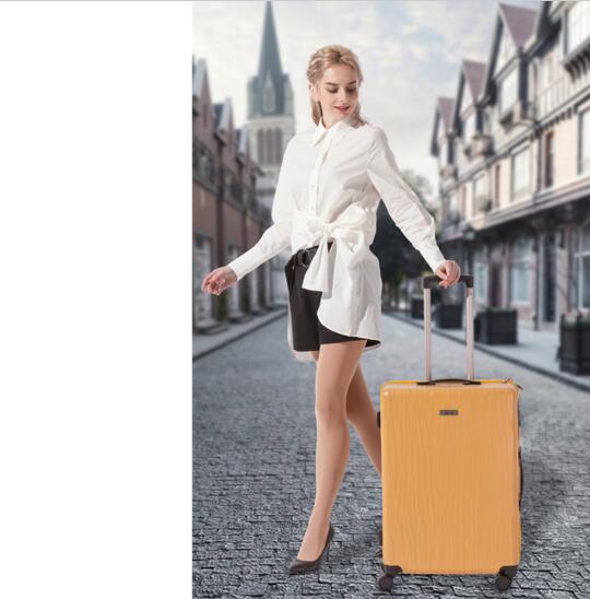 ACE W9SAC-102�r��24Ӣ��